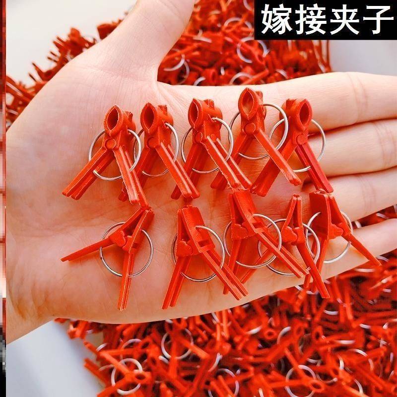 农用蔬菜嫁接夹黄瓜西瓜苦瓜辣椒茄子西红柿熟料可多次使用