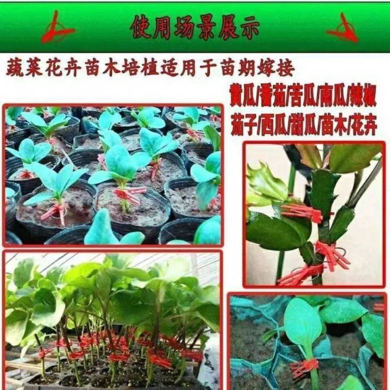 农用蔬菜嫁接夹黄瓜西瓜苦瓜辣椒茄子西红柿熟料可多次使用