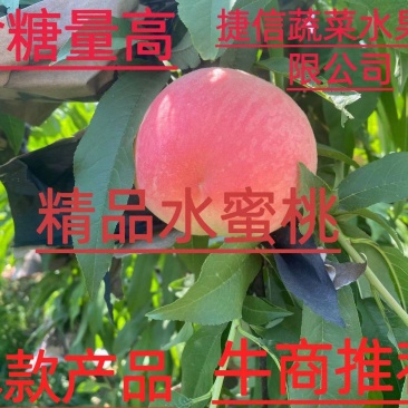 优质突围水蜜桃，砀山产区，口感脆甜，糖份高达十三个以上