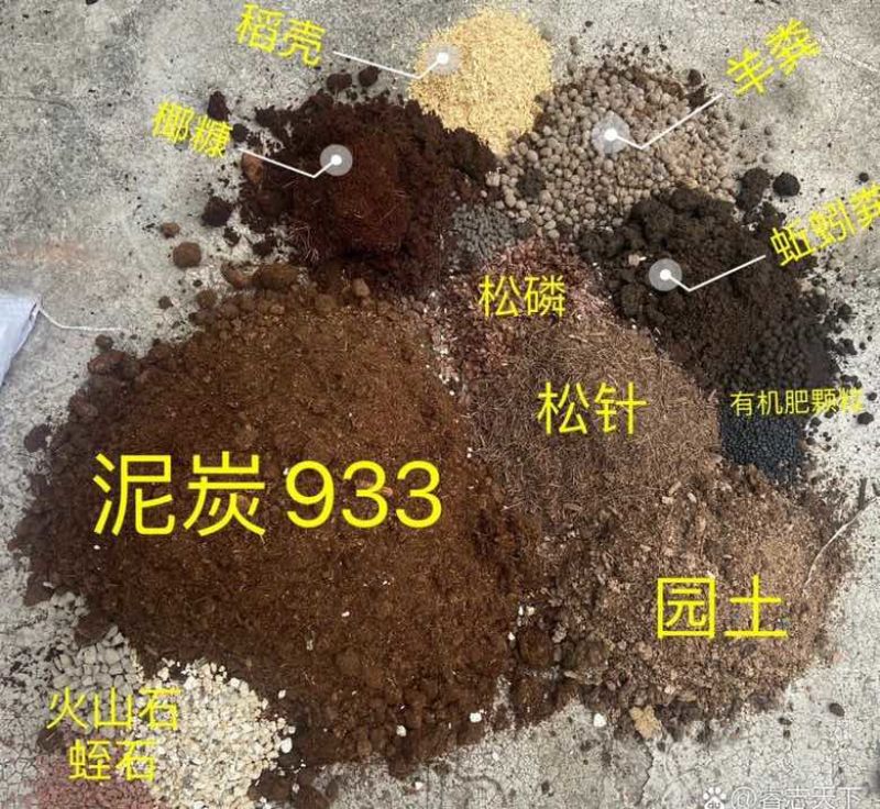 【蓝莓种植】专用椰粒/椰糠/椰砖育苗基质/大量有货