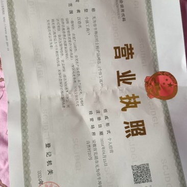 松针茶