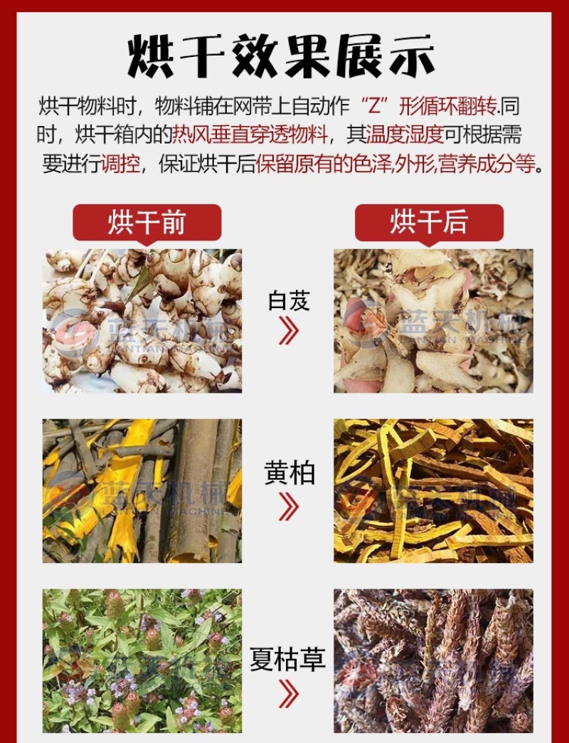 黄柏烘干机大型黄柏丝烘干设备黄柏切丝烘干生产线