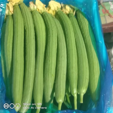 丝瓜