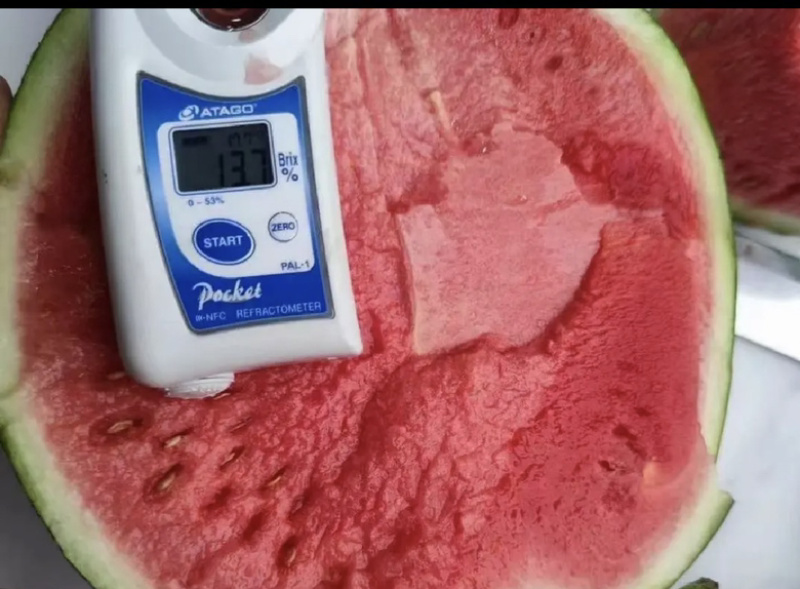 夏宝夏乐甜蜜蜜