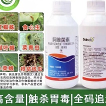 10%阿维菌素红蜘蛛杀螨杀虫剂