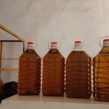 菜籽油，自家作坊加工，品质保证有货，欢迎各位老板咨询采购
