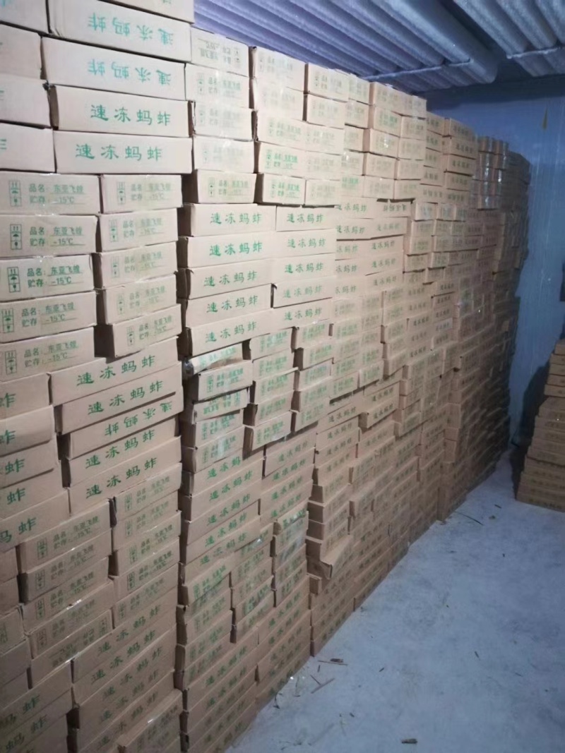 蚂蚱蝗虫自家养殖质量保证加工厂批发欢迎来电咨询下单