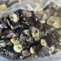 精品干香菇10斤可发货品质保证对接全国市场