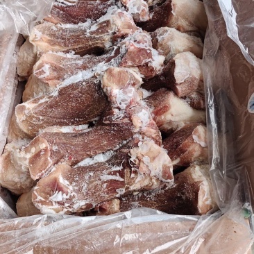 多肉后棒骨13根，肥猪精品多肉后棒骨，库存多肉棒骨