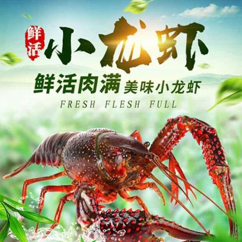 小龙虾大量上市，量大优惠欢迎新老客户前来合作，