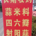 【苔蒜】精品川蒜红皮大蒜诚信经营基地直供欢迎咨询
