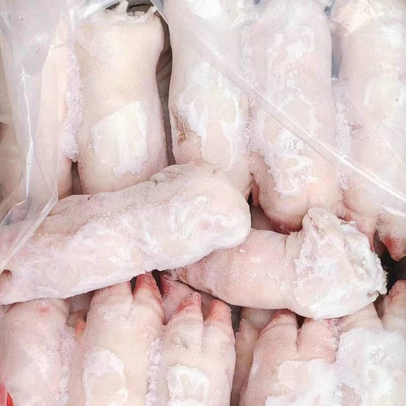 精制猪蹄干净无毛
