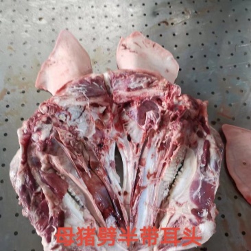 母猪劈半带耳头/去耳头