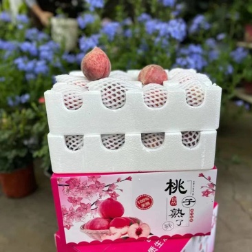 云南红宝石桃，电商，团购，一件代发