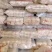 精品豌豆粉丝货量充足对接各大代办日走几万斤