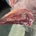国产满肉牛肋排