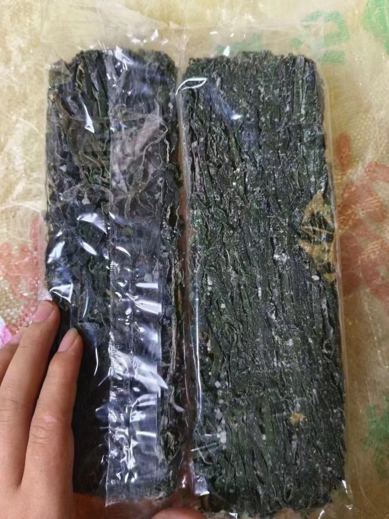 精品海带苗品质好价格优货量足对接各大商超老板