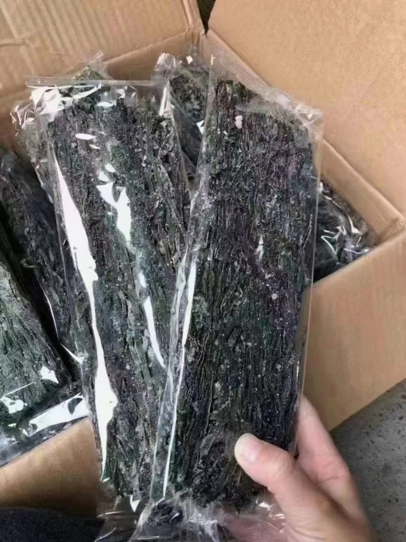 精品海带苗品质好价格优货量足对接各大商超老板