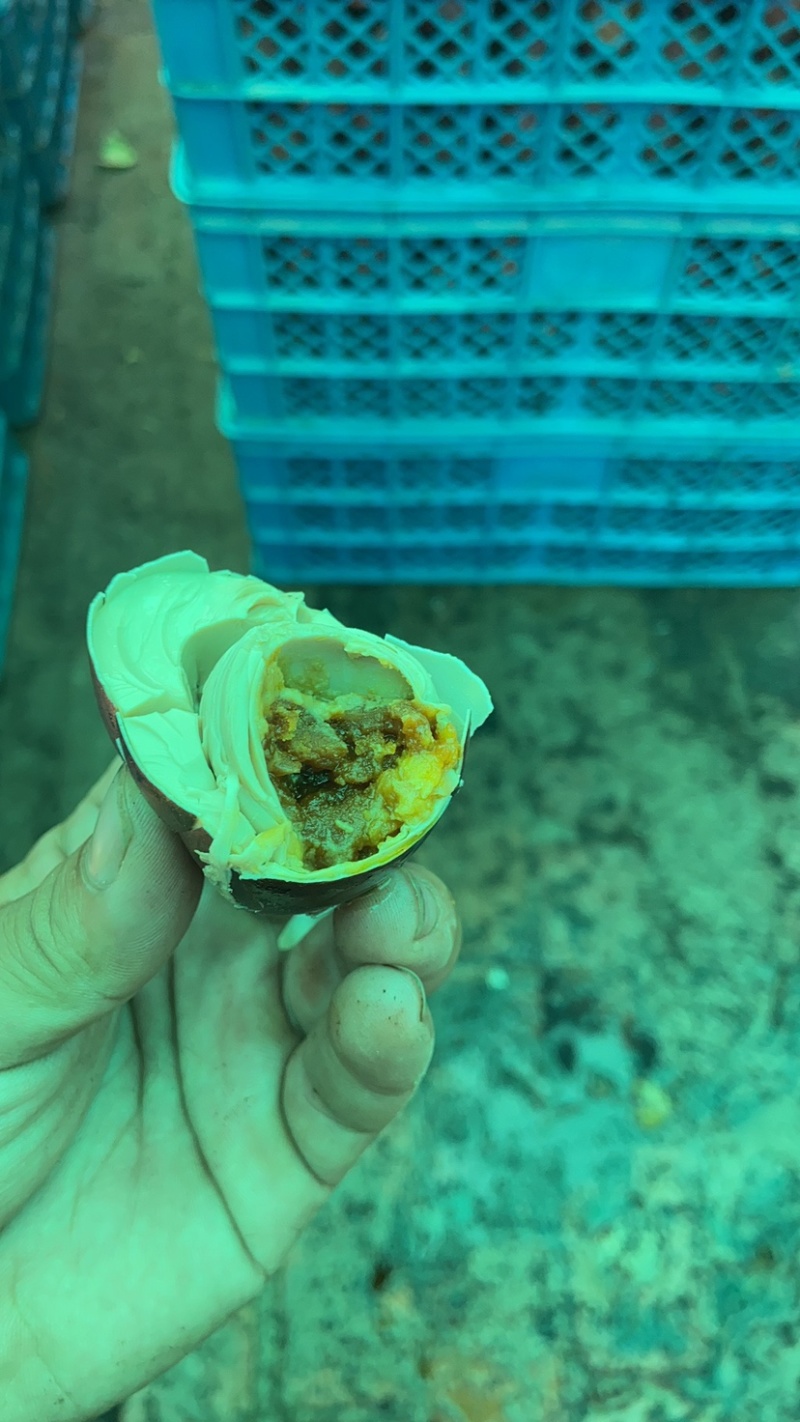 五香烤鸭蛋，