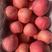 产地大量供应条红片红各种规格富士苹果