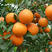 鹅柑甜橙基地直供，汁多果肉厚实，纯甜，大量批发