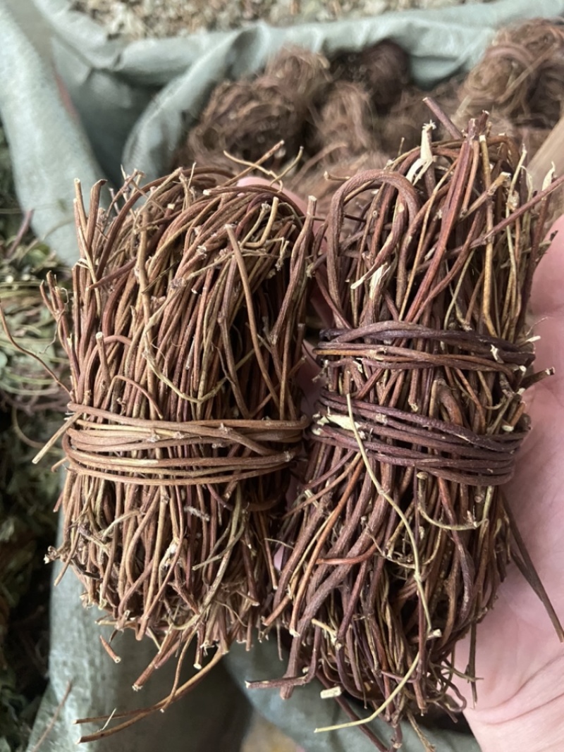 鸡骨草