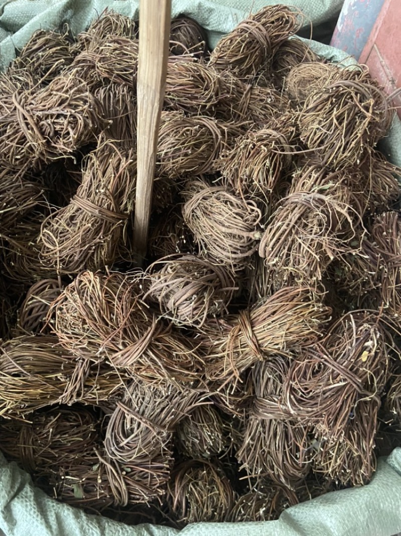 鸡骨草