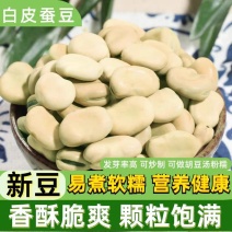 包邮白皮干蚕豆5斤农家生的蚕豆新鲜干货馋胡豆可发大蚕豆芽