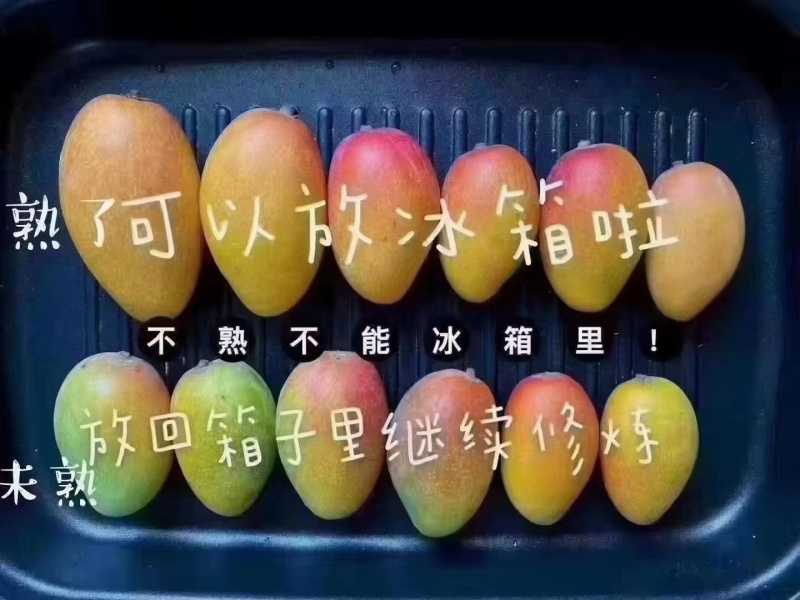 贵妃芒高颜值核薄肉甜口感Q弹