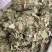 金钱草