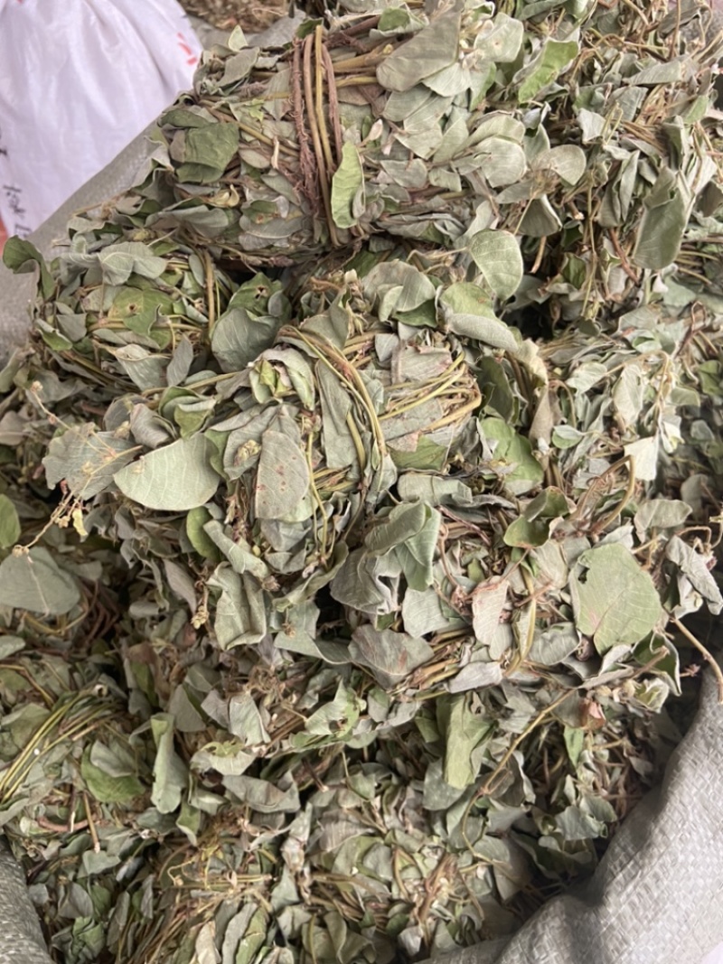 金钱草