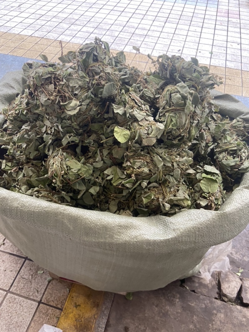 金钱草