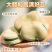 包邮白皮干蚕豆5斤农家生的蚕豆新鲜干货馋胡豆可发大蚕豆芽