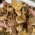 穿破石黄穿破石粒