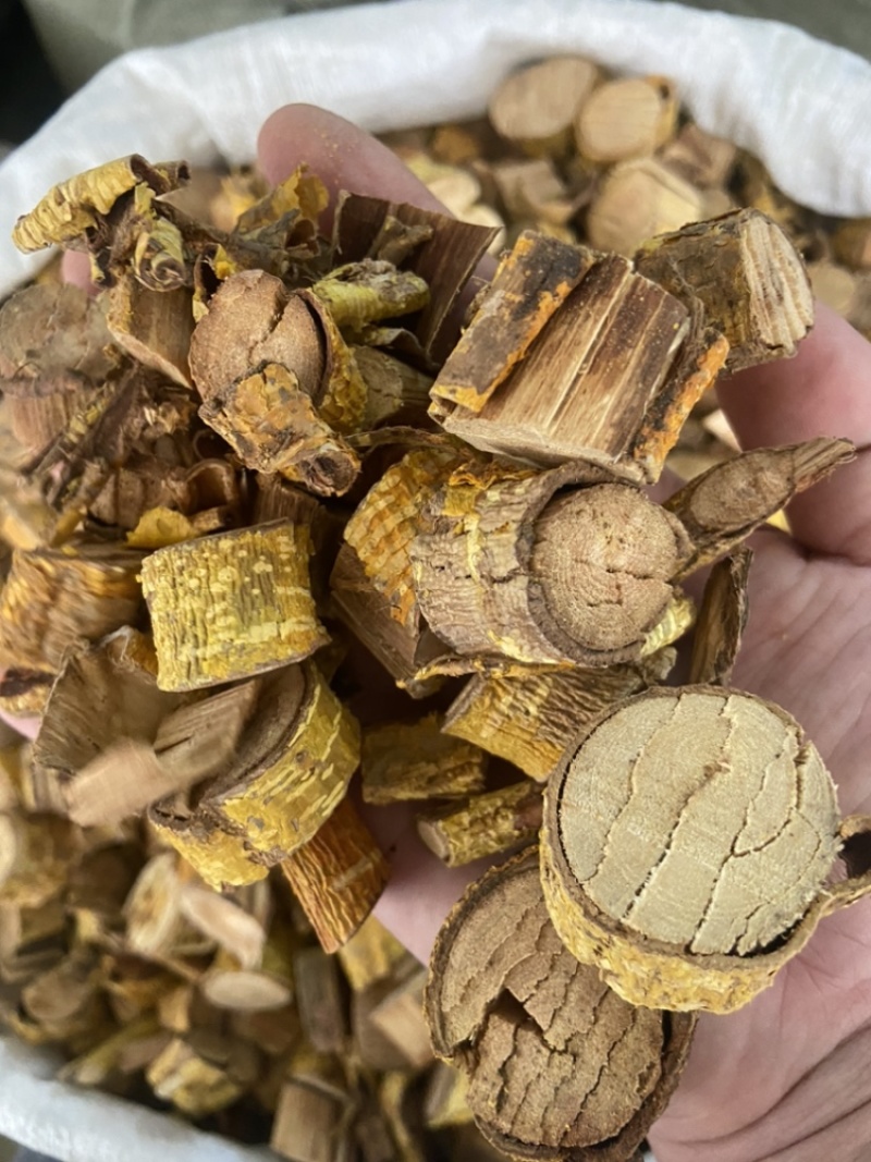 穿破石黄穿破石粒