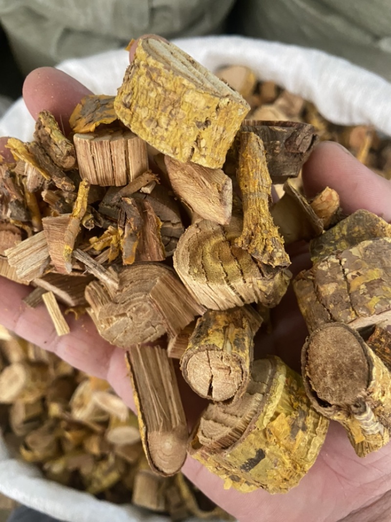 穿破石黄穿破石粒