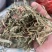 车前草