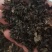 无沙梅干菜超低盐