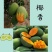 椰香芒鸡蛋芒独特椰奶香薄核高山芒果小巧可爱