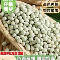 包邮）生青豌豆粒干货5斤农家新鲜干豌豆发豆芽专用大青豆子