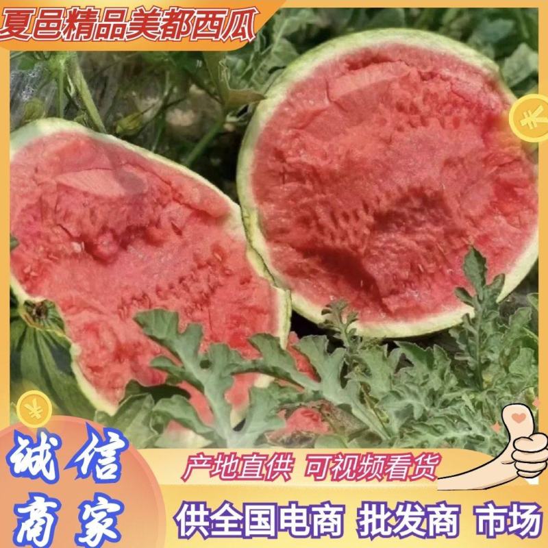 夏邑西瓜美都西瓜麒麟西瓜货源充足量大从优全国发