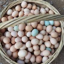 纯粮散养土鸡蛋，无任何添加剂色素