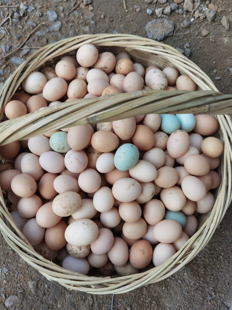 纯粮散养土鸡蛋，无任何添加剂色素