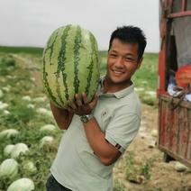 新疆吐鲁番哈密昌吉西瓜供应一手货源产地直发批发量大
