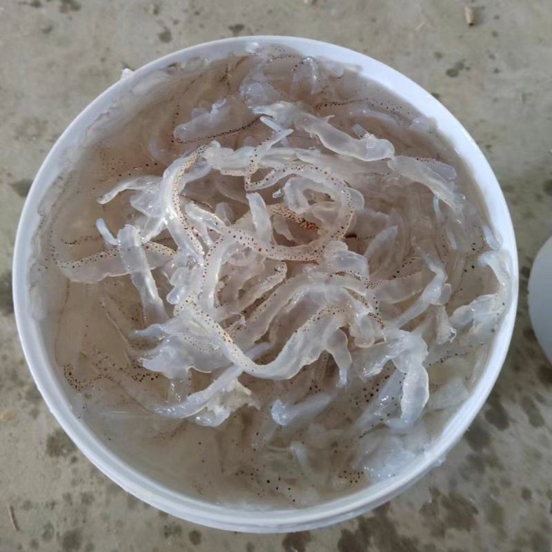精品珊瑚丝