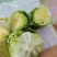 云南球生菜
