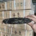 冰岛普洱茶357克饼茶熟茶生茶