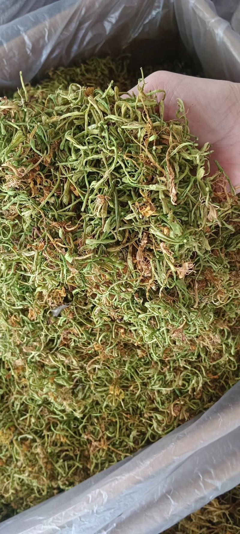 广西中药材金银花品质保证诚信经营欢迎联系货真价实