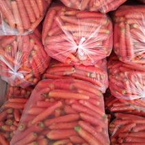 次品红萝卜供应电商超市食堂养殖场全年有货诚信经营欢迎批发