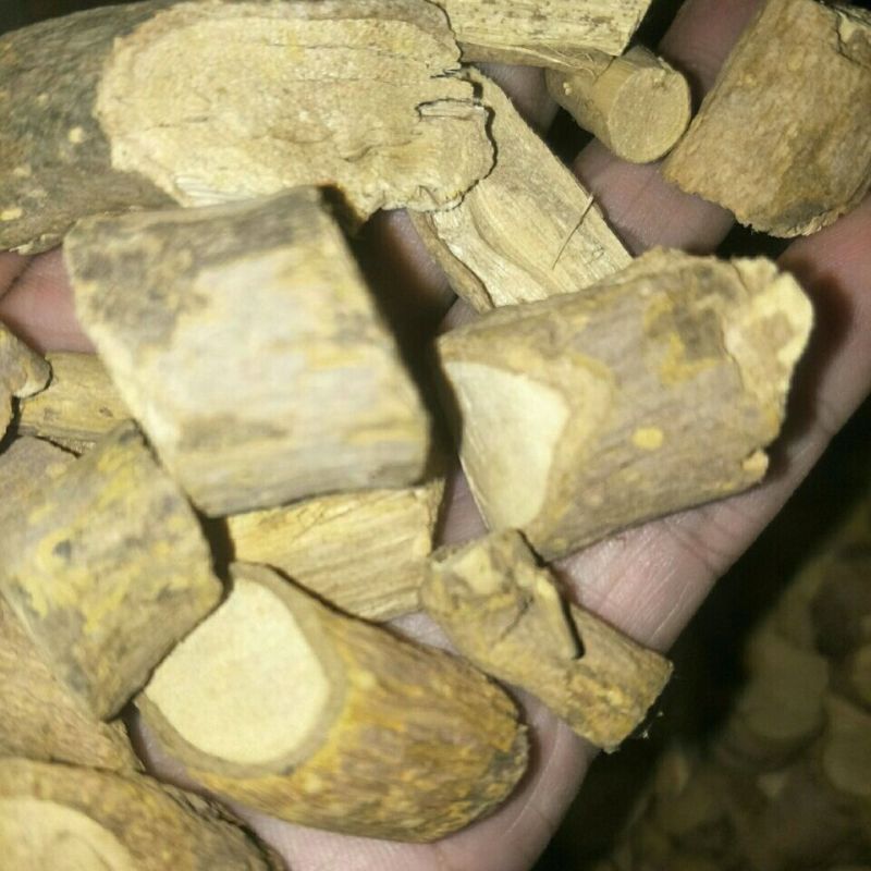 纯野生，切段